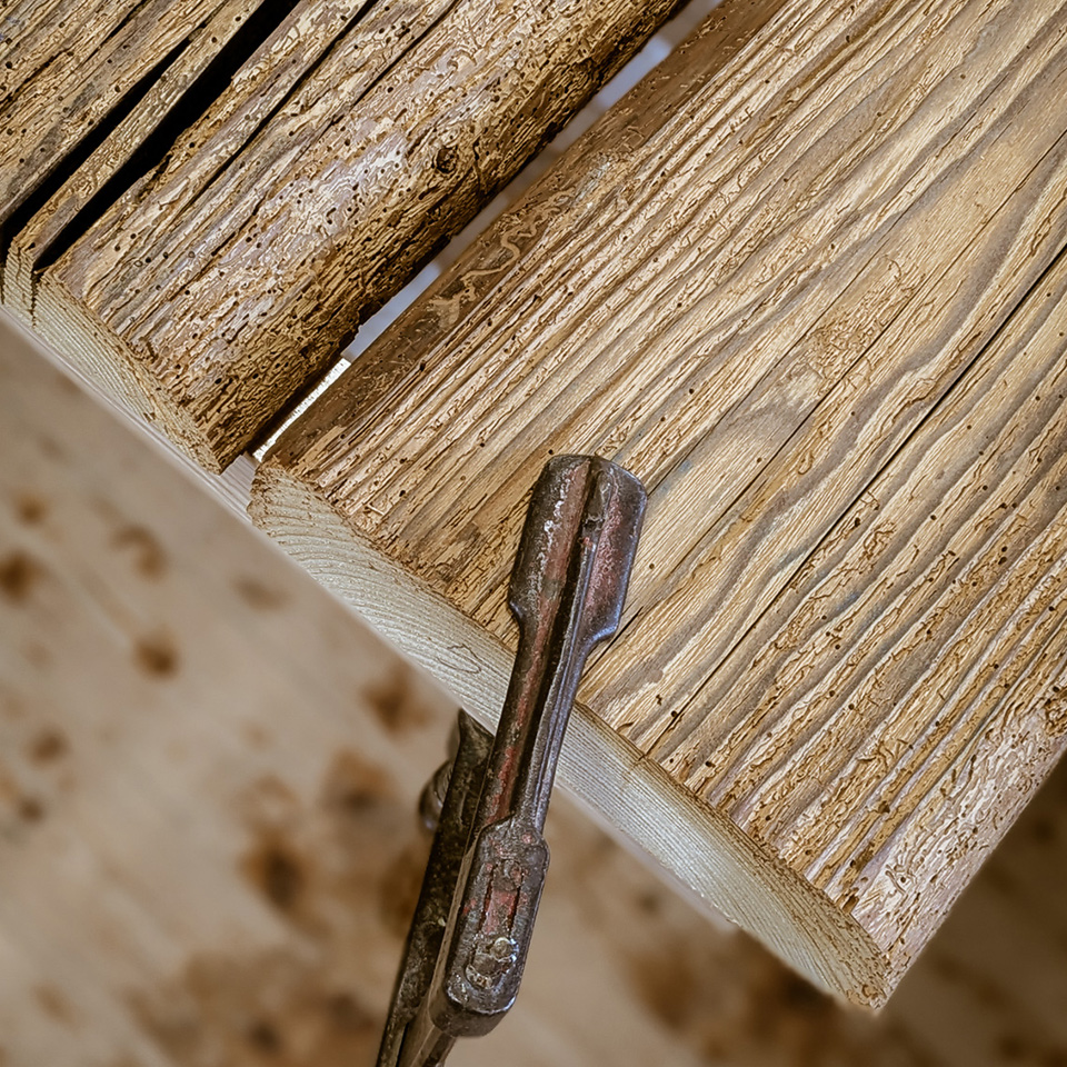 Aus gesägten und getrockneten Altholzdiele entsteht die Tischplatte in der Werkstatt von Liebwerk Schreinerei