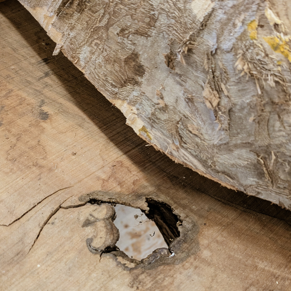 Holzbohlen mit Baumkante werden bei Liebwerk Schreinerei zu tollen Tischen verarbeitet